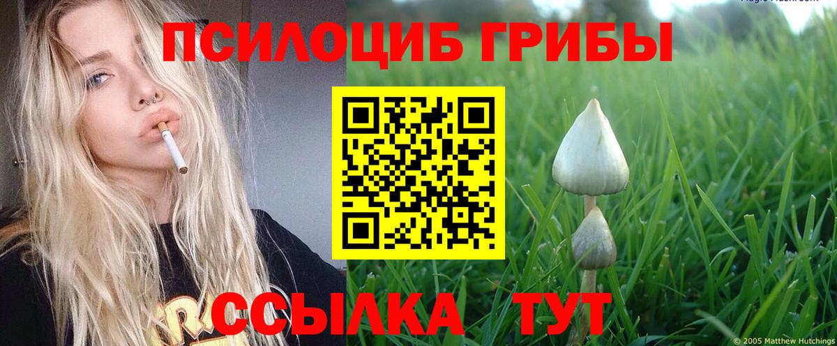 Галлюциногенные грибы ЛСД  дарнет шоп  Саянск  Вход с VPN 